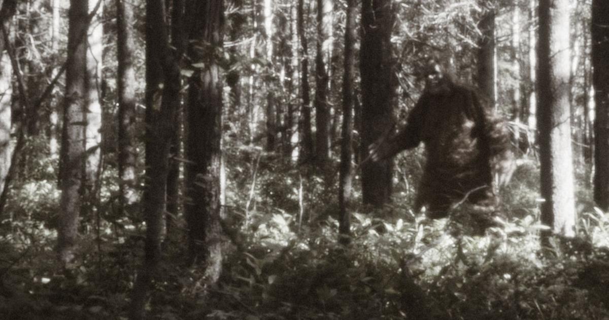 Sighting of Bigfoot in Washington State